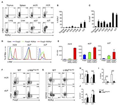 Multiple Environmental Signaling Pathways Control the Differentiation of RORγt-Expressing Regulatory T Cells